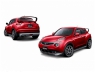 Решетка для Nissan Juke IMPUL Style