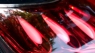 LED Фонари для Nissan Juke